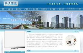 北京網站建設與數據處理服務——龍鼎網絡專業解決方案
