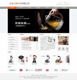 大連新圖聞科技 專業網站建設與制作服務解析